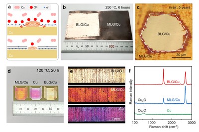 雙面各異 銅上雙層石墨烯的非對(duì)稱(chēng)摻雜機(jī)制研究揭示