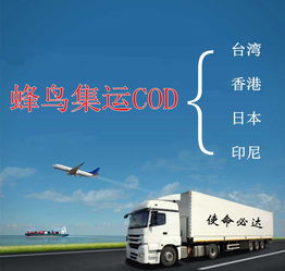 東莞電子商務 上門收快遞報價服務助力廠家高效物流